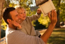 Photo of От банки до старого мяча. Как быстро сделать кормушку для птиц своими руками