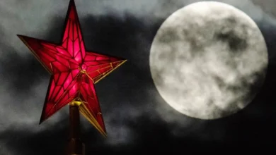 Photo of О, Бобровая луна, мне сегодня не до сна. Все о суперлунии 5 ноября