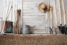 Photo of Инвентарь, инструменты и техника. Чек-лист работ на даче в декабре