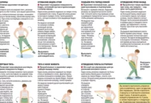 Photo of Топ-7 упражнений на разные группы мышц. Инфографика