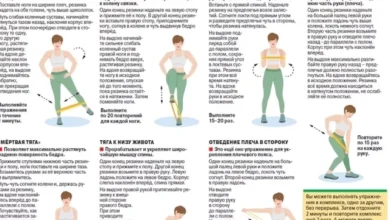 Photo of Топ-7 упражнений на разные группы мышц. Инфографика