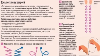 Photo of Какие упражнения помогут укрепить связь полушарий головного мозга?