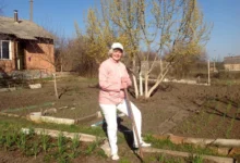 Photo of Лунный календарь дачника, садовода и огородника на 2026 год. Апрель