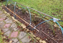 Photo of Лунный календарь дачника, садовода и огородника на 2026 год. Ноябрь