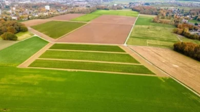 Photo of Земельный участок участникам СВО. Кому положен и как получить