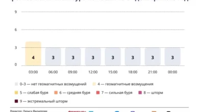 Photo of Прогноз магнитных бурь по часам на 24 декабря 2025 года. Инфографика