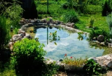 Photo of Прудик у дома. Как сделать недорогой и красивый водоем на своем участке