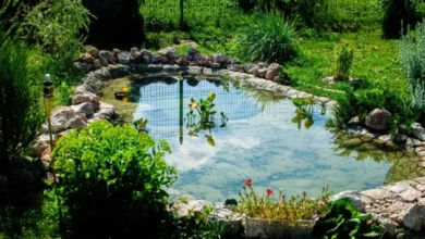 Photo of Прудик у дома. Как сделать недорогой и красивый водоем на своем участке