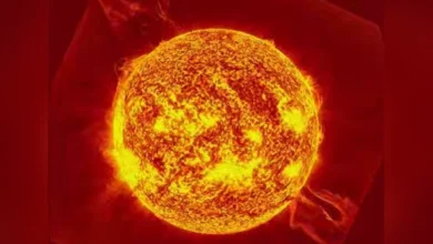 Photo of Вспышечная активность Солнца на этой неделе приблизится к нулю