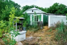Photo of Спорные сотки. Что изменится для владельцев садов и дач с 1 сентября 2025