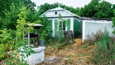 Photo of Спорные сотки. Что изменится для владельцев садов и дач с 1 сентября 2025