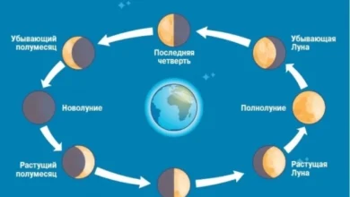 Photo of Ритмы спутника Земли. Как правильно пользоваться лунным календарём