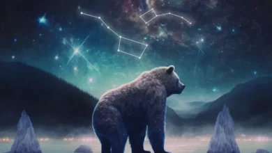 Photo of Где и когда наблюдать звездопад Урсиды в 2025 году?