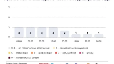 Photo of Прогноз магнитных бурь по часам на 19 декабря 2025 года. Инфографика