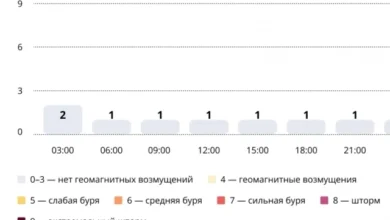 Photo of Прогноз магнитных бурь по часам на 21 декабря 2025 года. Инфографика