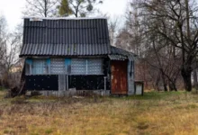 Photo of Какой дачный участок считается заброшенным?