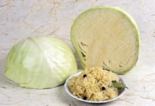 Photo of Выбор семян для рассады. Какие сорта капусты лучше для квашения и засолки