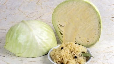 Photo of Выбор семян для рассады. Какие сорта капусты лучше для квашения и засолки