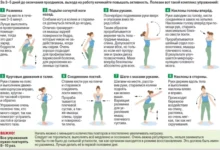 Photo of Комплекс упражнений для восстановления за каникулы. Инфографика