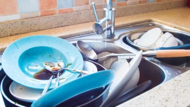 Photo of Рассадник бактерий. Ученые назвали опасную привычку, допускаемую на кухне