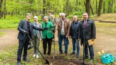 Photo of Совет решил. Какой порядок наведут в лесах России в 2026 году