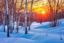 Photo of Снег на Рождество. Календарь народных примет на каждый день января